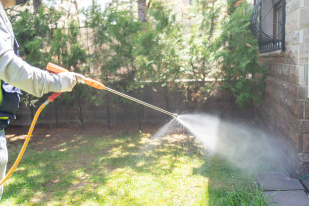 Best Affordable Pest Control Services  in Martsville, IN