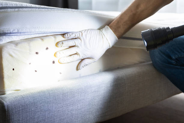 Best Pest Inspection Near Me  in Martsville, IN