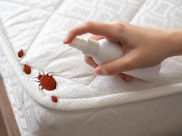 Best Local Pest Control Services  in Martsville, IN