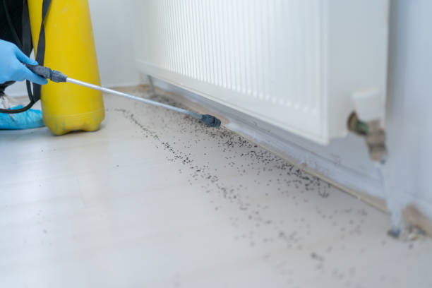 Best Wildlife Control Services  in Martsville, IN