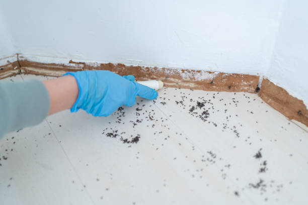 Best Best Pest Control Companies  in Martsville, IN
