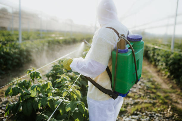 Best Flea Control Services  in Martsville, IN